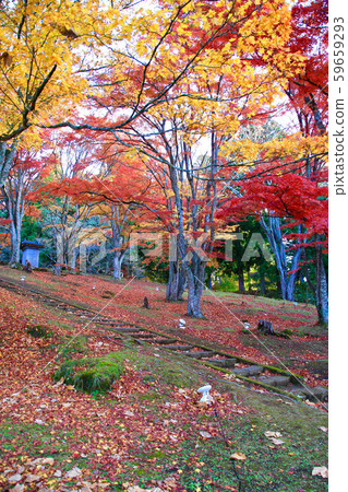 Dotsu Shrine in autumn (Fukushima Prefecture, Inawashiro Town) 59659293