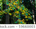 秋天的開始 59660003