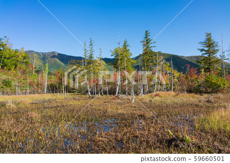 道場池塘的秋葉：松本市一瀨花園安住 59660501