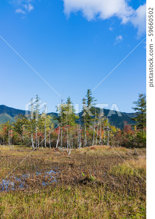 道場池塘的秋葉：松本市一瀨花園安住 59660502
