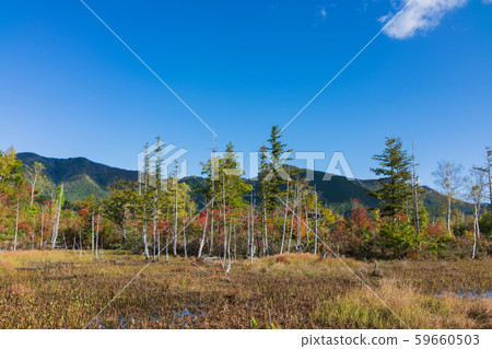 道場池塘的秋葉：松本市一瀨花園安住 59660503
