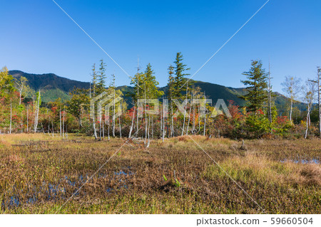 道場池塘的秋葉：松本市一瀨花園安住 59660504
