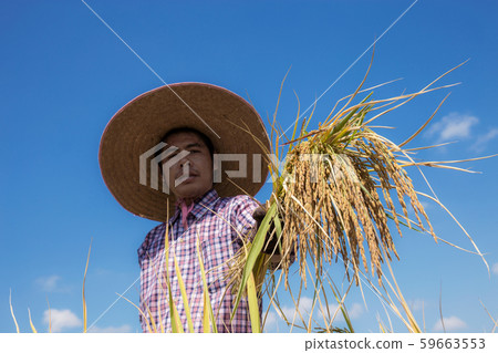 Farmers offered their ears at sky. Farmers offered their ears at sky. 59663553