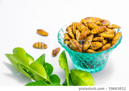 Fried silkworm's pupa Fried silkworm's pupa 59663652