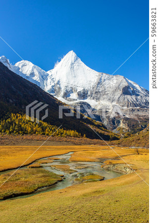 Colorful in autumn forest and snow mountain at 59663821