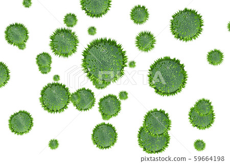 花粉圖像滲透材料(用於花粉熱等) 花粉圖像滲透材料(用於花粉熱等) 59664198