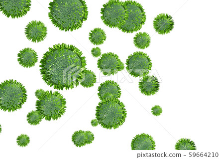 花粉圖像滲透材料（用於花粉熱等） 59664210