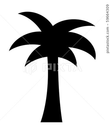 Palm tree 59664309
