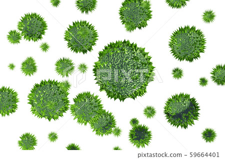 花粉圖像滲透材料(用於花粉熱等) 花粉圖像滲透材料(用於花粉熱等) 59664401