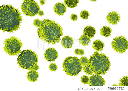 花粉圖像滲透材料（用於花粉熱等） 59664781