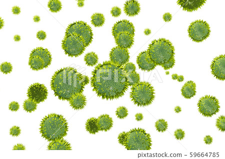 花粉圖像滲透材料(用於花粉熱等) 花粉圖像滲透材料(用於花粉熱等) 59664785