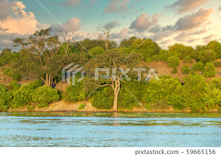 Chobe river landscape Botswana, Africa Chobe river landscape Botswana, Africa 59665156