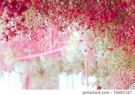 Colorful flowers background. 59665187