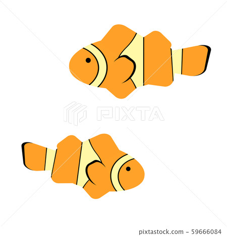 小丑anemonefish 59666084