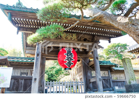 (神奈川縣景觀)鎌倉長谷寺門2 (神奈川縣景觀)鎌倉長谷寺門2 59666750