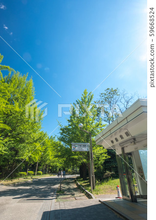 中島公園新鮮綠色藍天 中島公園新鮮綠色藍天 59668524