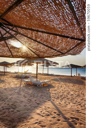 beach in the egypt beach in the egypt 59670059