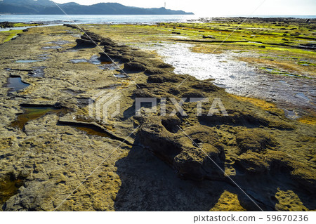 Iwami Tatsugaura Nodules 59670236