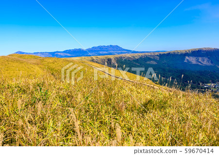 Autumn view of Nishiyuura Park Observatory, Grass Colored Leaves [Aso City, Kumamoto Prefecture] 59670414