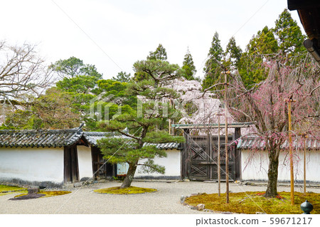 Daigoji Sanjoin Daigoji Sanjoin 59671217