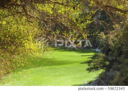 New Zealand Wai O Tapu Lake Ngakoro New Zealand Wai O Tapu Lake Ngakoro 59672345