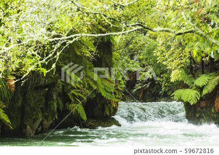 New Zealand Rotorua Trout Pools Falls New Zealand Rotorua Trout Pools Falls 59672816