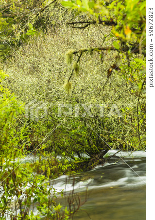 New Zealand Rotorua Trout Pools Falls New Zealand Rotorua Trout Pools Falls 59672823