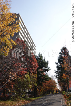 Sapporo Shiroishi Cycling Road (Shiraishi Kokorodo near Nango-dori 15-chome) 59673326