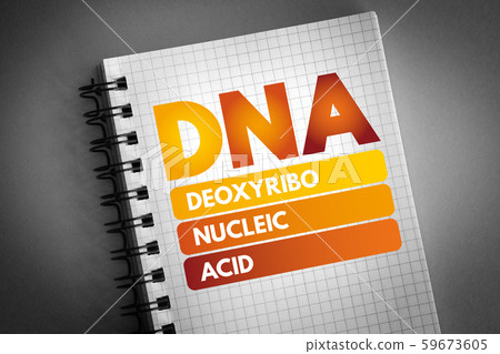 DNA - Deoxyribonucleic Acid acronym DNA - Deoxyribonucleic Acid acronym 59673605
