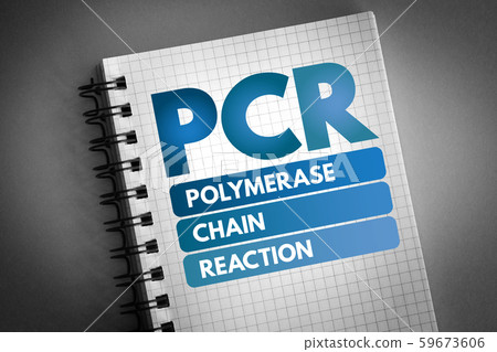 PCR - Polymerase Chain Reaction, acronym PCR - Polymerase Chain Reaction, acronym 59673606