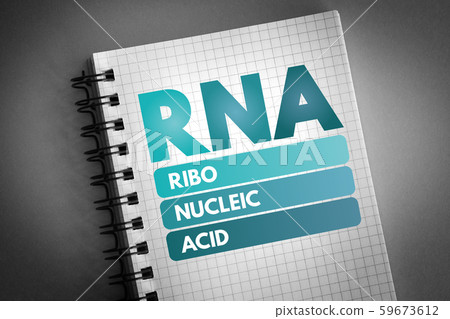 RNA - Ribonucleic acid acronym RNA - Ribonucleic acid acronym 59673612