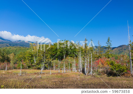 秋天的道場池塘：一瀨花園，松本淳 59673858