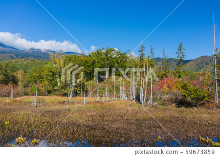 秋天的道場池塘：一瀨花園，松本淳 59673859