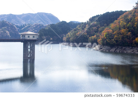 Hijimu Dam, autumn leaves 59674333