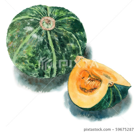 1 and 4 pumpkins painted in watercolor 1 and 4 pumpkins painted in watercolor 59675287