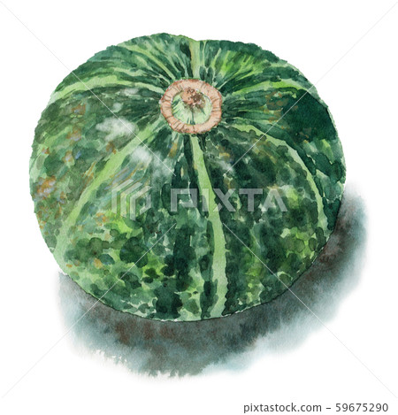Whole pumpkin painted in watercolor 59675290