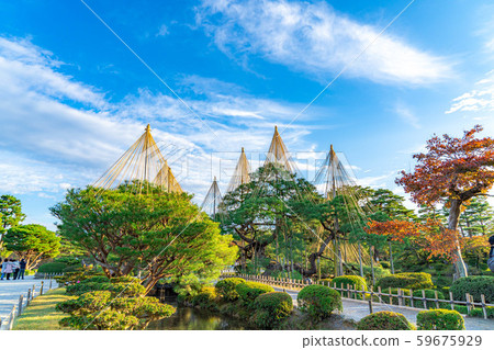 兼六園下雪天[石川縣] 59675929