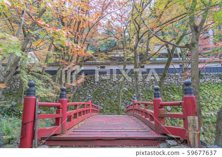 9253 Yokozo寺 59677637