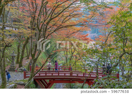 9265 Yokozo寺 59677638