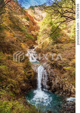 Nishizawa Valley in autumn colors Nishizawa Valley in autumn colors 59678436
