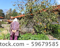 Country grandma 59679585