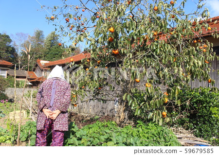 Country grandma 59679585