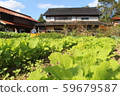 Field and house 59679587