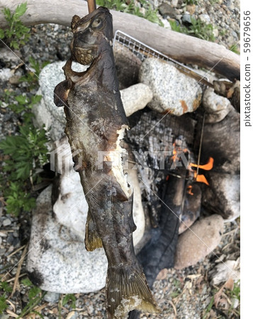 烤的岩石魚 烤的岩石魚 59679656