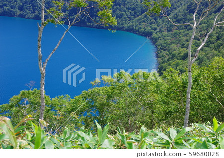 北海道梅湖 北海道梅湖 59680028