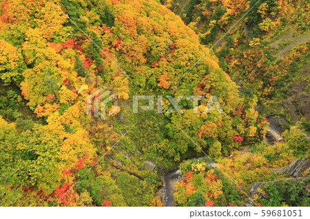 [Aomori Prefecture] Nishiki-Aki Jogakura Stream 59681051