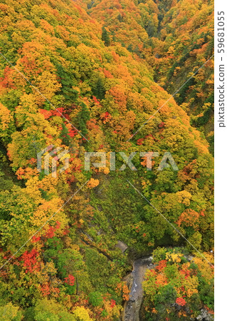 [Aomori Prefecture] Nishiki-Aki Jogakura Stream 59681055
