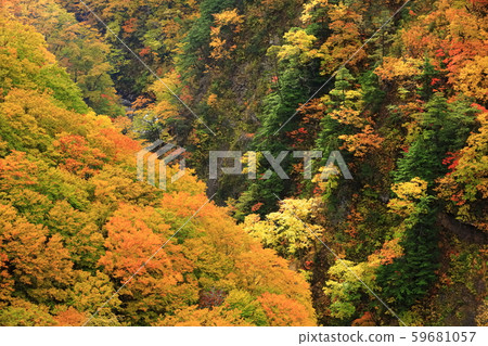 [Aomori Prefecture] Nishiki-Aki Jogakura Stream 59681057