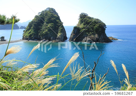 西伊豆秋季浮島海岸到名前崎長廊 59681267