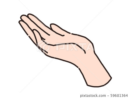 palm palm 59681364